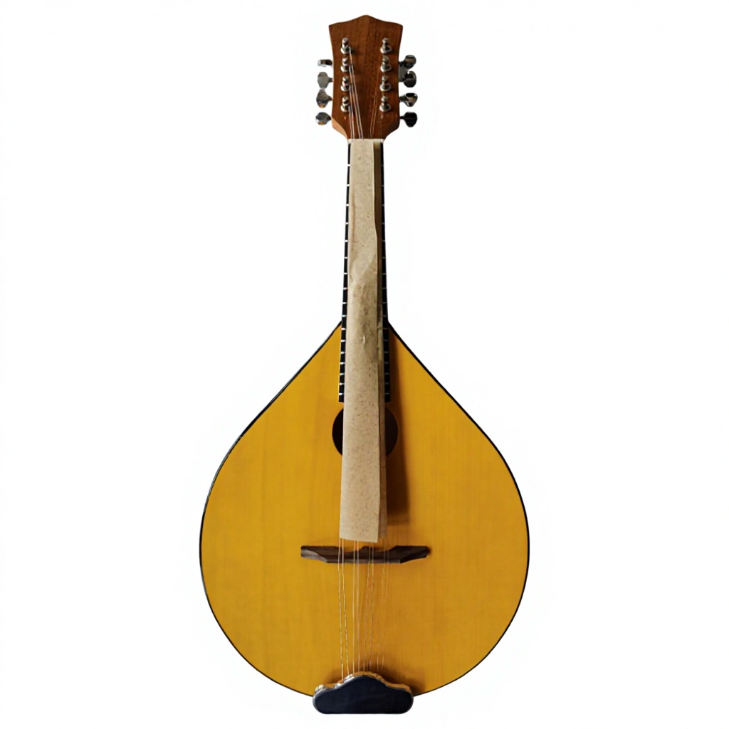 Musical Instrument Banjo - Banjo Akustik 8 Senar, Bagian Belakang