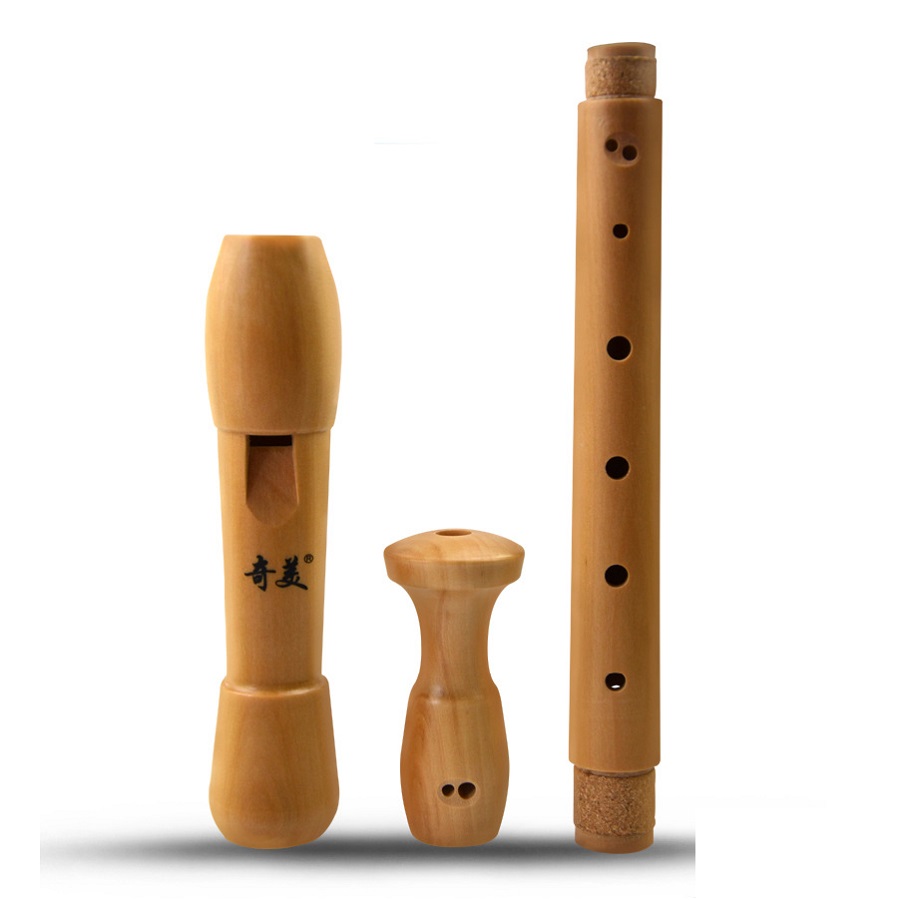 Qimei 8 Lubang Perekam Alto Al - Musical Instrument Theremin ulasan dan harga