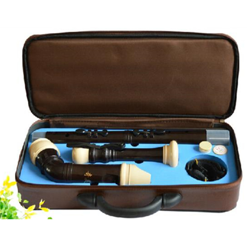 Profesional 8 Lubang Baroque B - Musical Instrument A Recorder ulasan dan harga