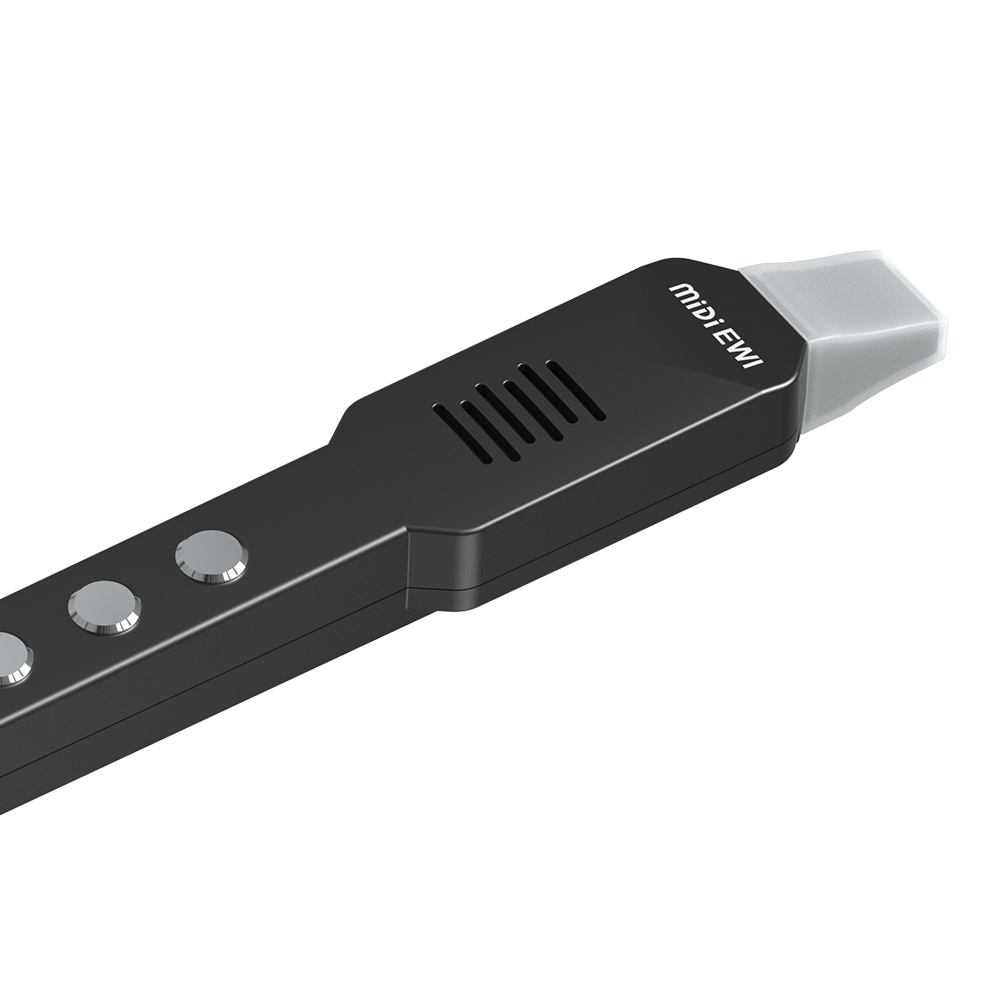 Seruling Transversal Kecil Ele - Musical Instrument Theremin ulasan dan harga